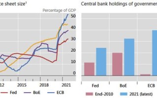 BIS报告全球货币与财政政策的十字路口（全球货币政策宽松货币市场利率下行）